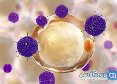 ویروس تغییریافته سرماخوردگی به ساختن واکسن کرونا کمک می کند