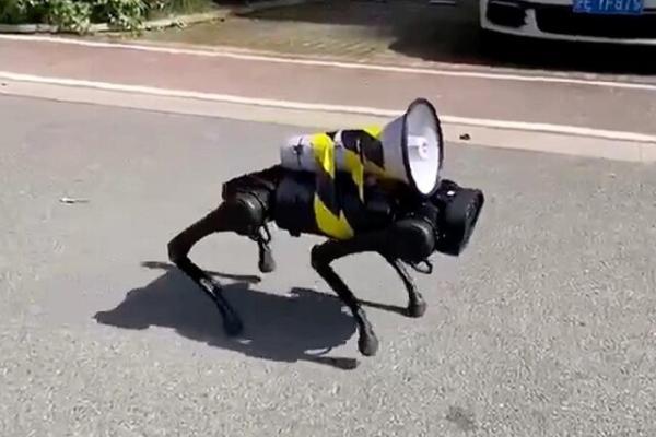 هشدار سگ رباتیک درباره کرونا