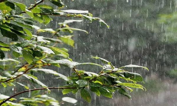 هوای بارانی در آبادان و خرمشهر هوای بارانی در آبادان و خرمشهر